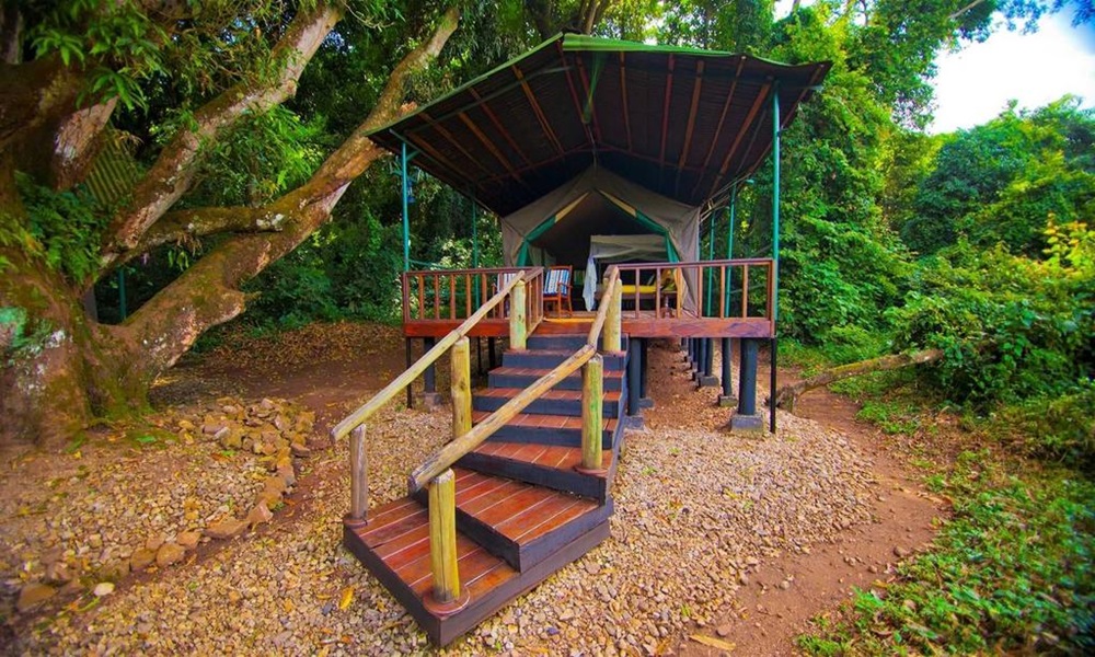GOMBE FOREST LODGE