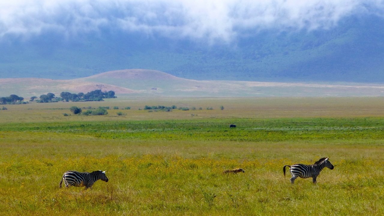 Private Safari Drives into the Crater