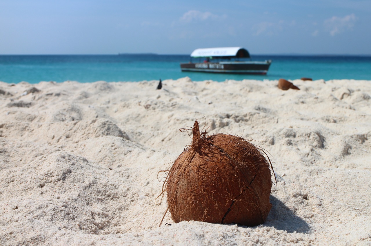 11 Days Uganda & Zanzibar Luxury Escape