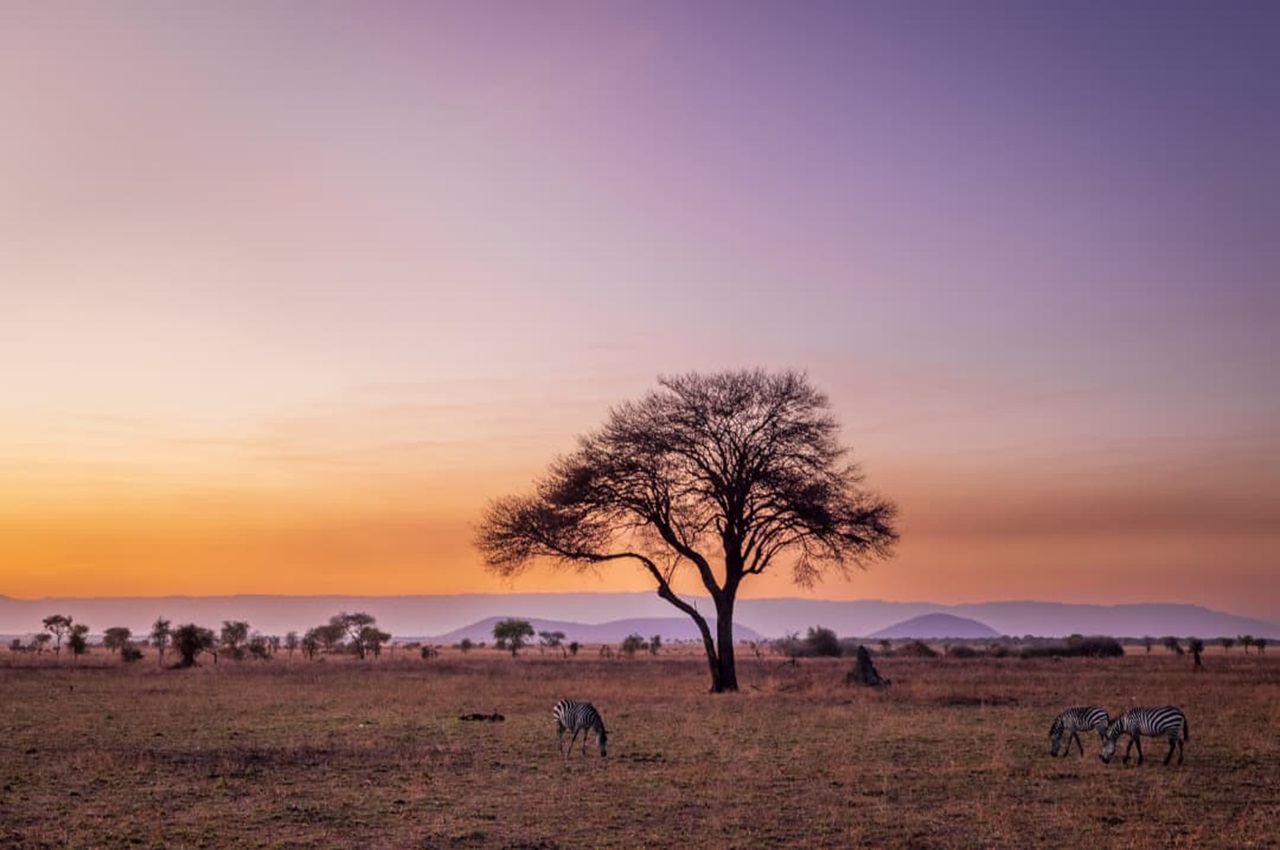 11 Days Kenya, Tanzania & Zanzibar Safari Escape