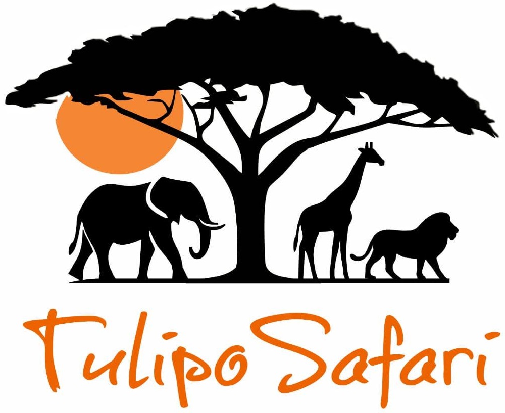 Tulipo Safaris And Tours