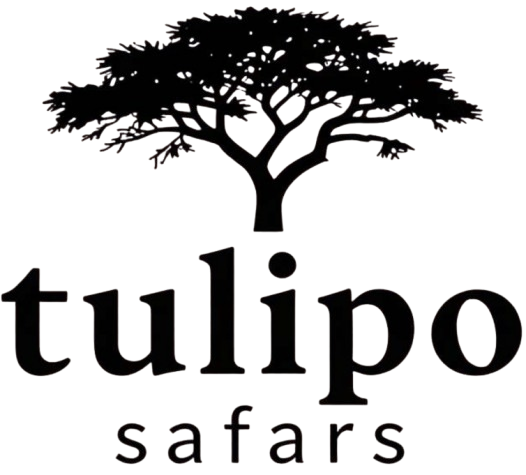 Tulipo Safaris And Tours